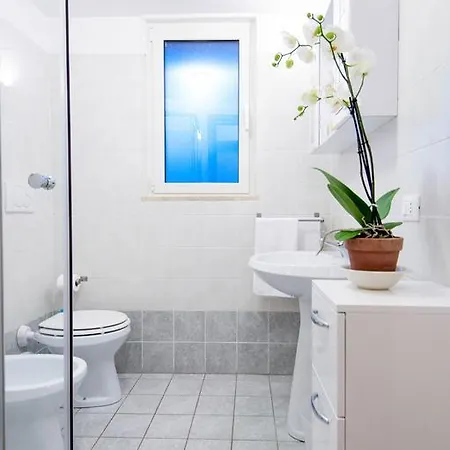 Appartement House Adriana *